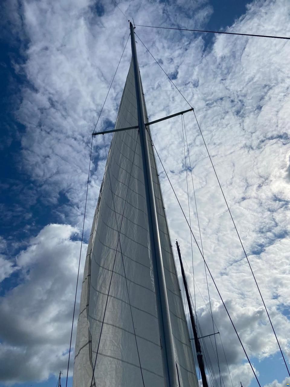 Wauquiez Gladiator 33
