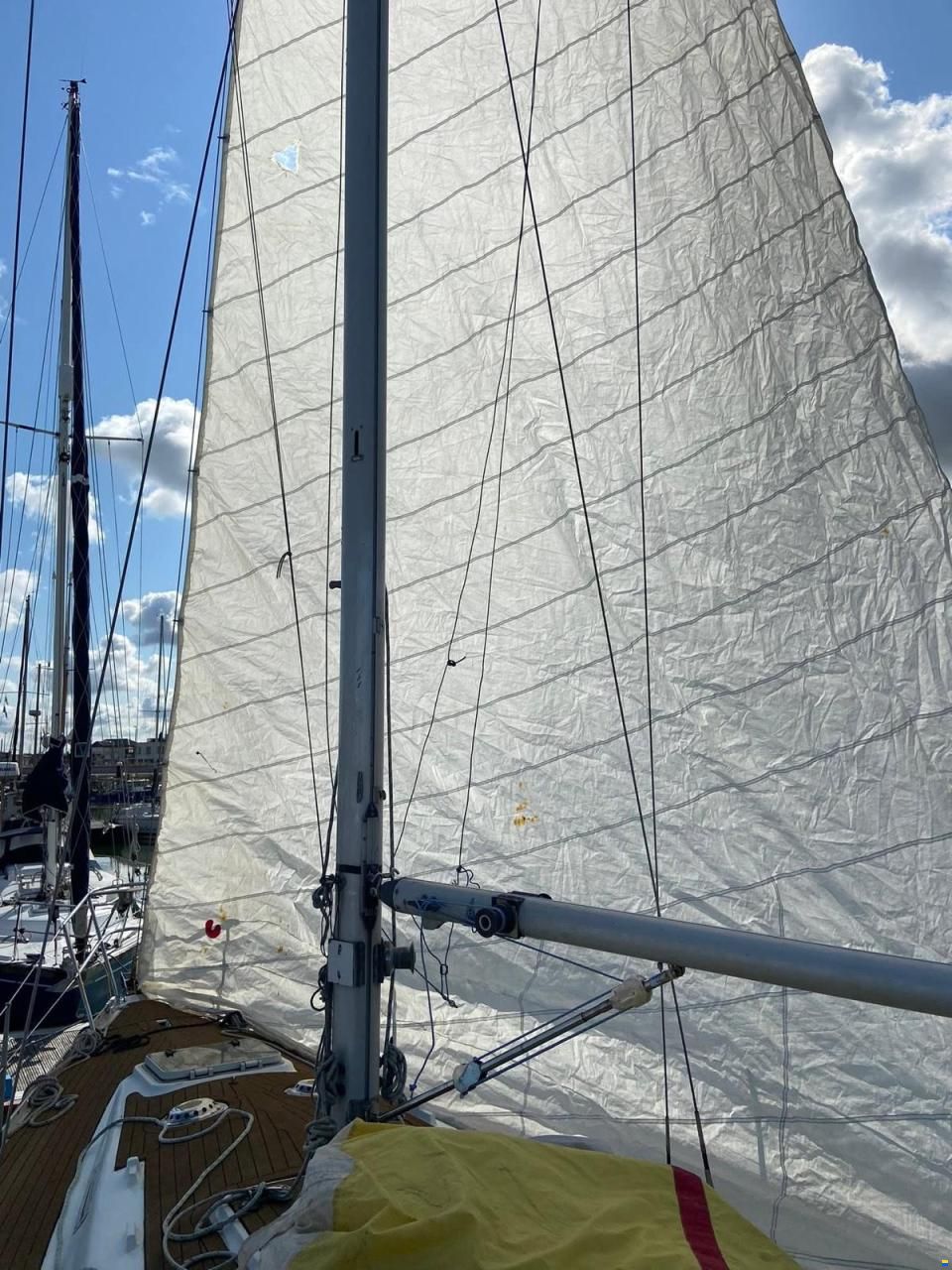 Wauquiez Gladiator 33