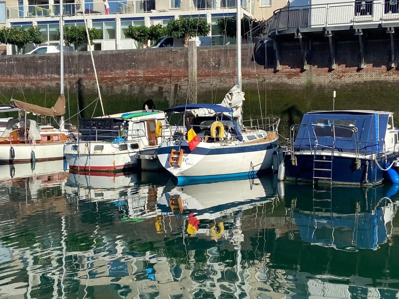 Wauquiez Gladiator 33