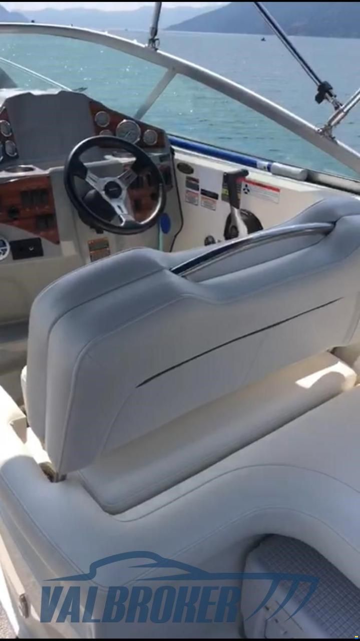 Bayliner 245