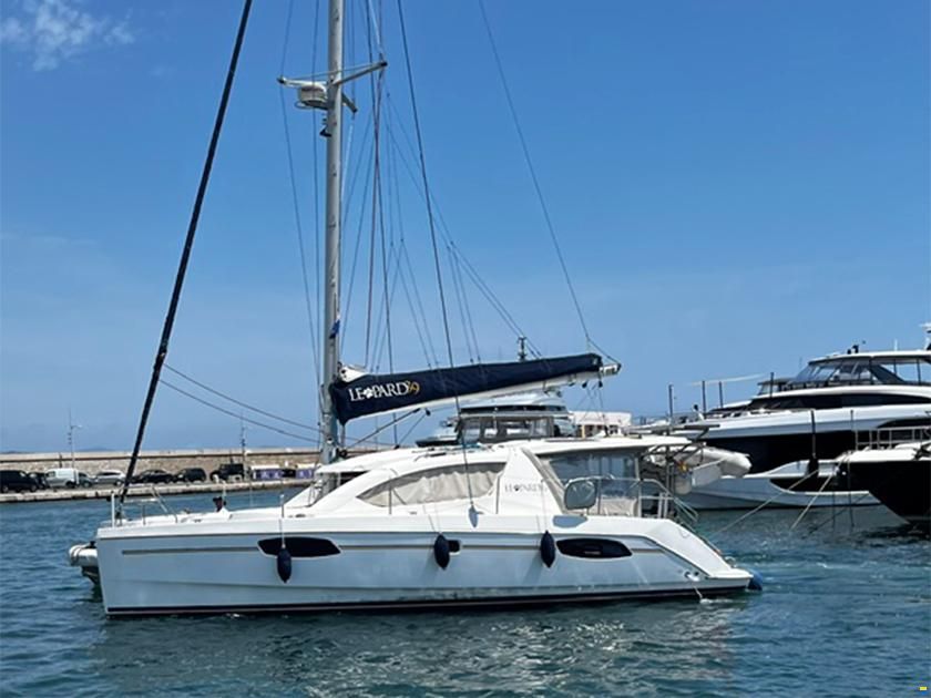 Leopard 39