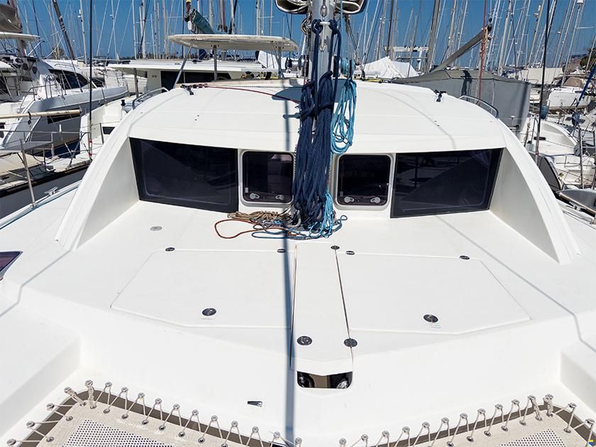 Leopard 39