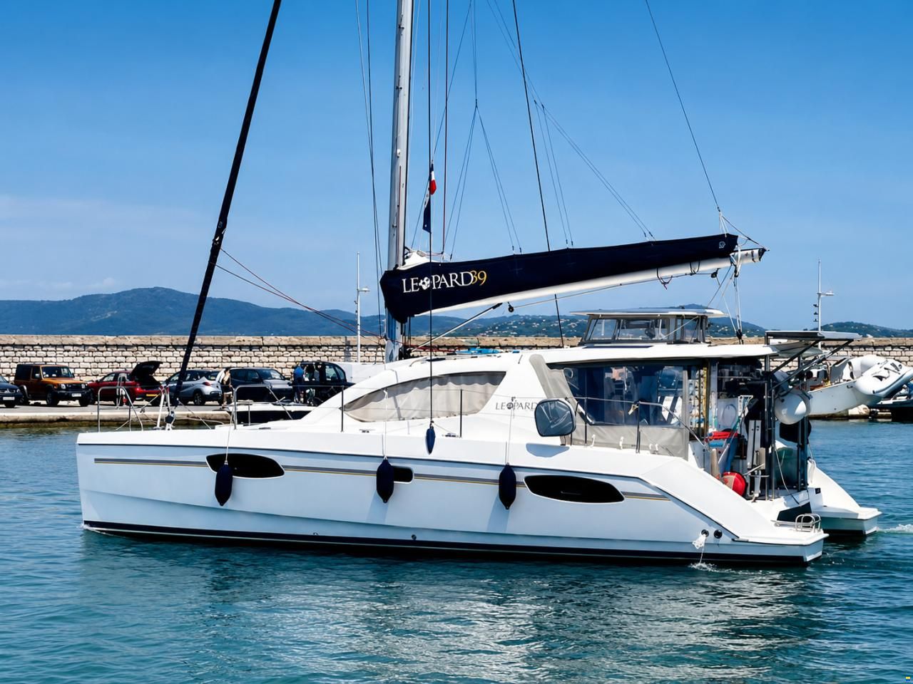 Leopard 39