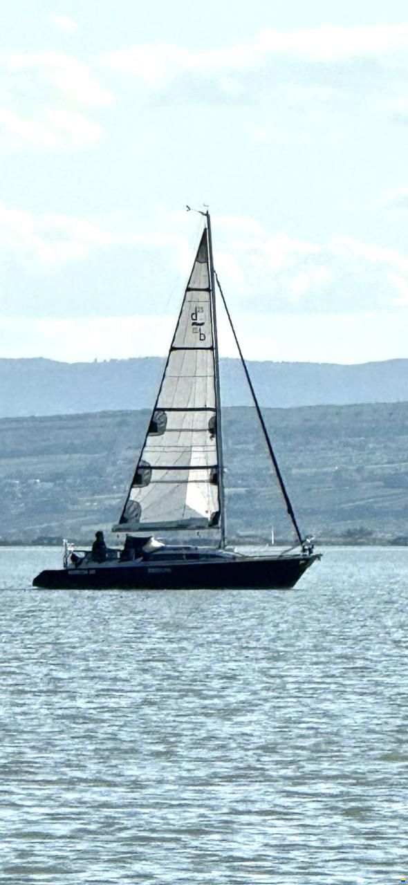 Dehlya 25