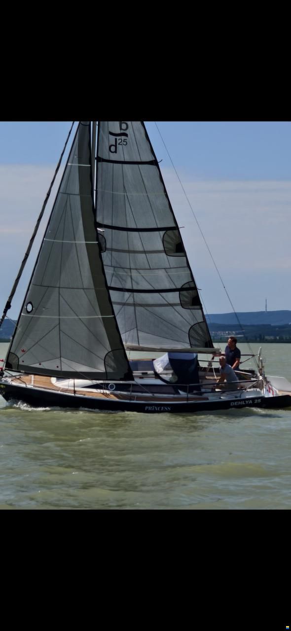 Dehlya 25