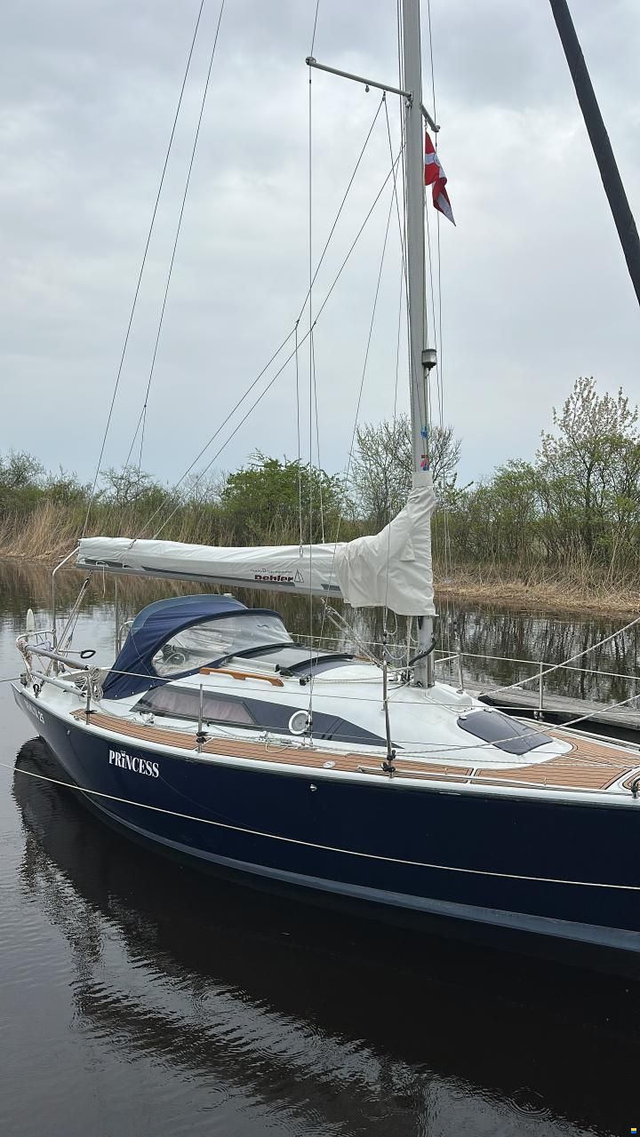 Dehlya 25