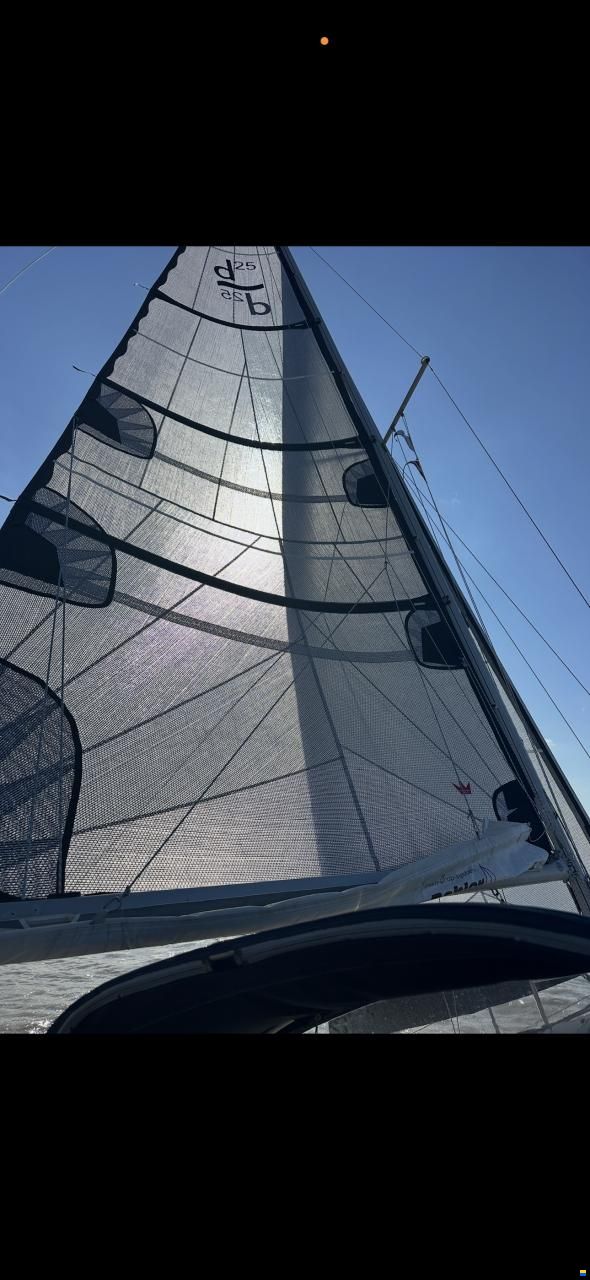 Dehlya 25