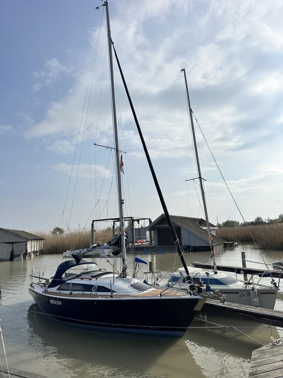 Dehlya 25