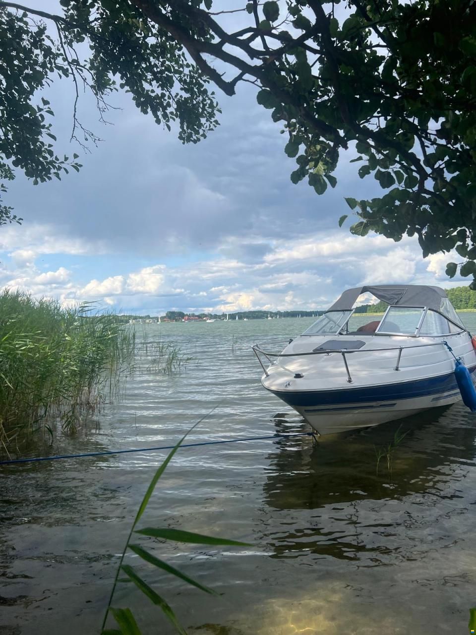 Bayliner Capri 2052 LS