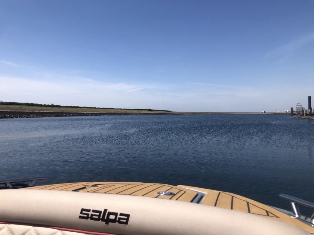 Salpa Soleil 20