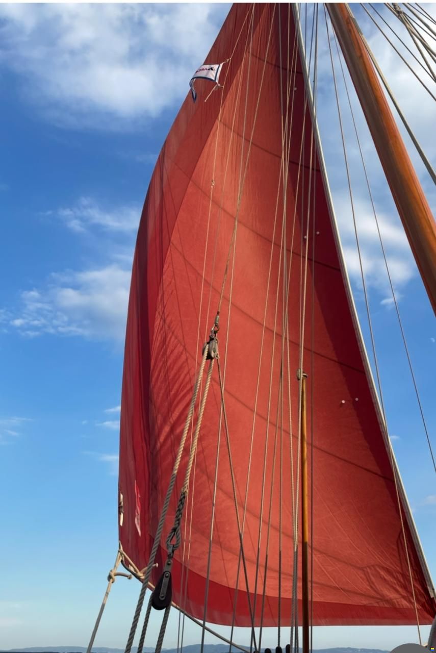 Colin Archer Polar 34