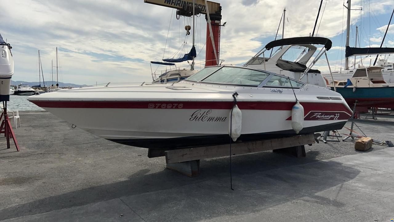 Sea Ray Pachanga