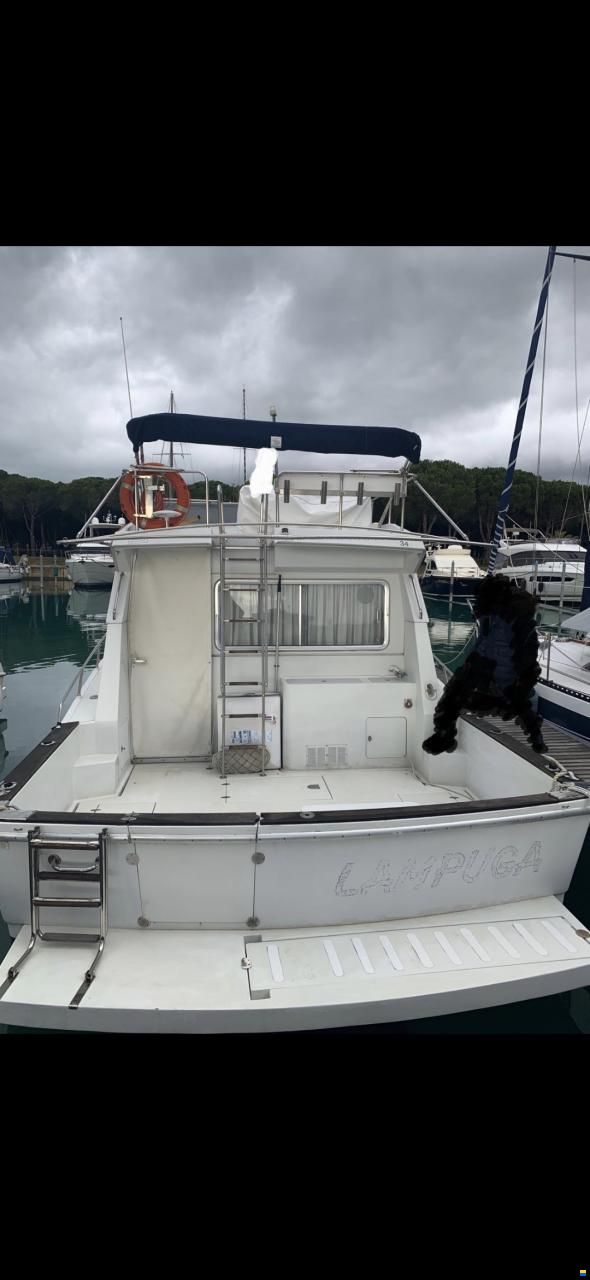Ferretti Fish/Altura 34