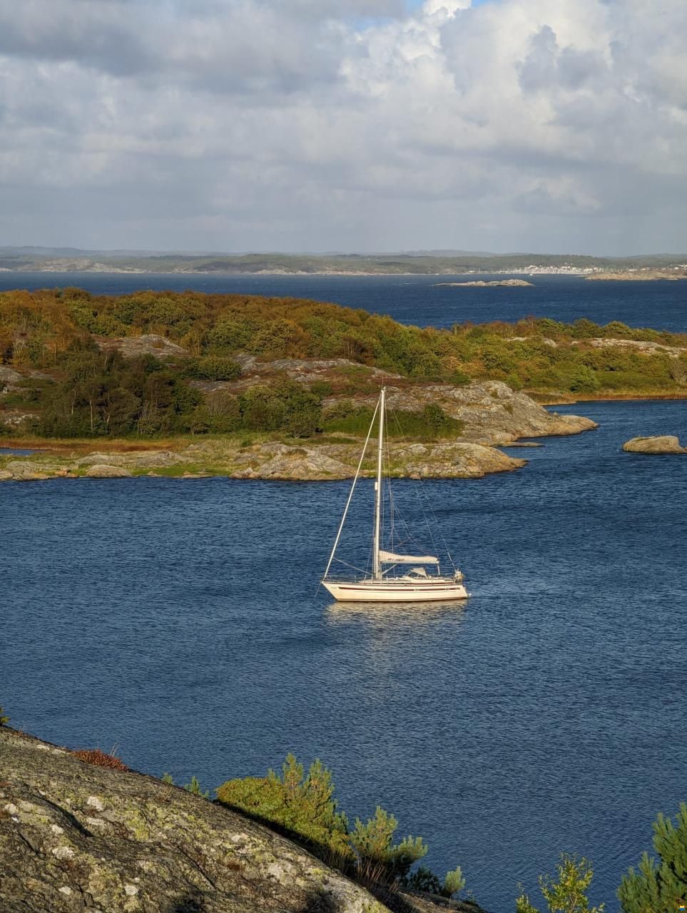 Aphrodite 37