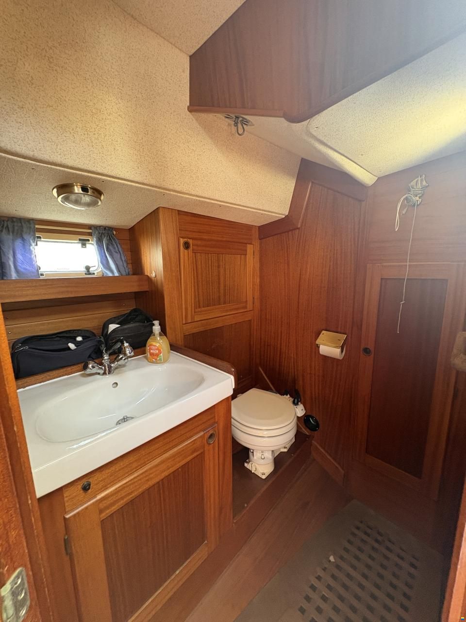 Aphrodite 37