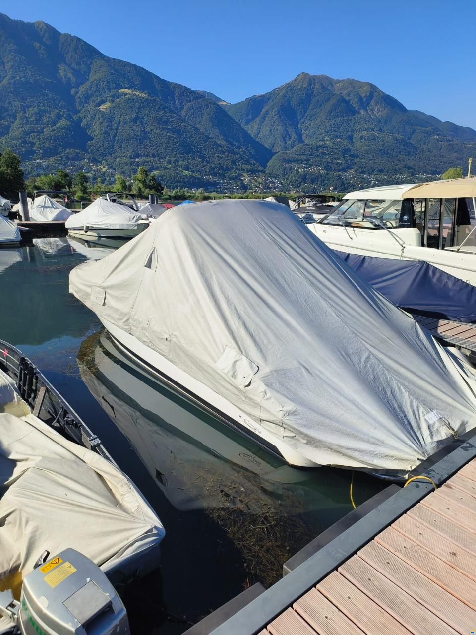 Cobalt 220