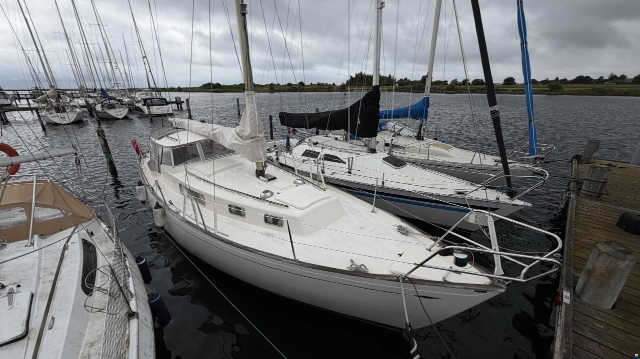 Hallberg-Rassy Rasmus 35