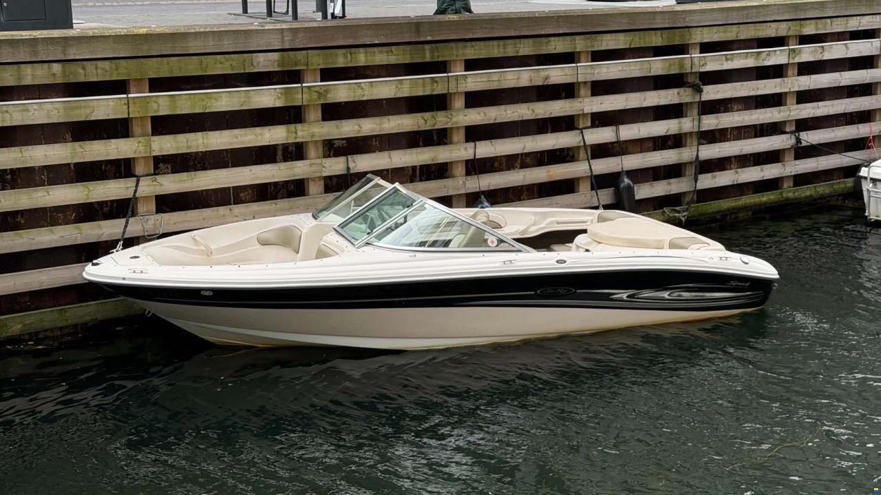 Sea Ray 185
