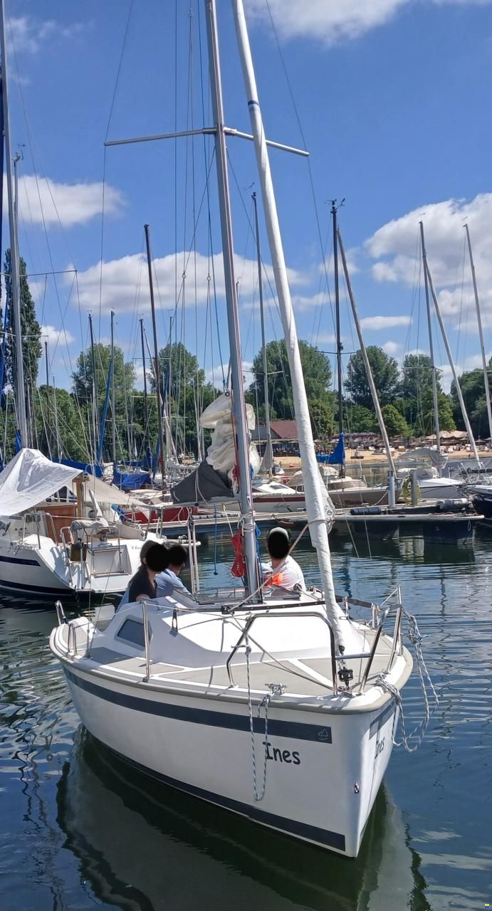 Sailart 17