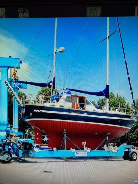 Automarine Tortuga TORTUGA 38