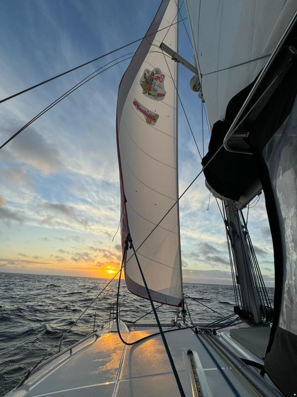 Lagoon 450 F