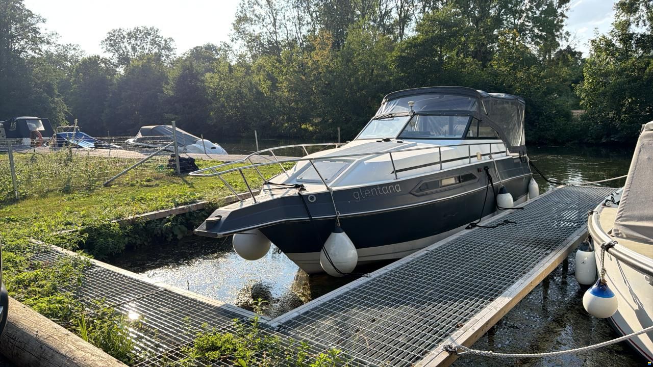 Regal 233 Ambassador Xl