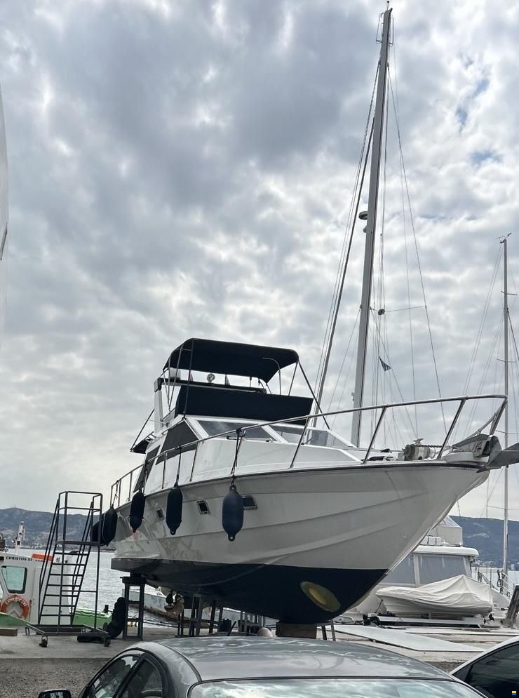 Tremlett 36
