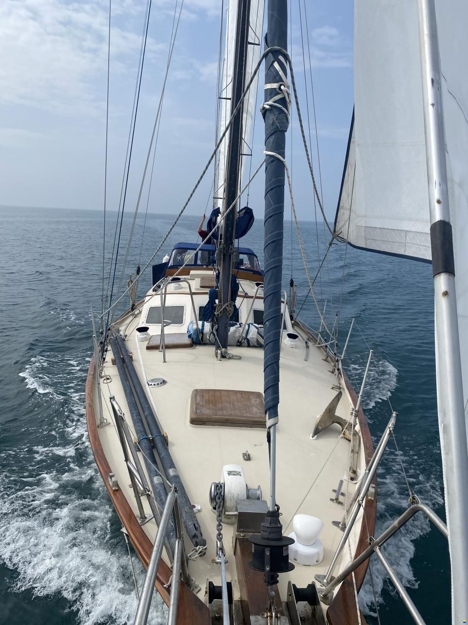 Endurance 37