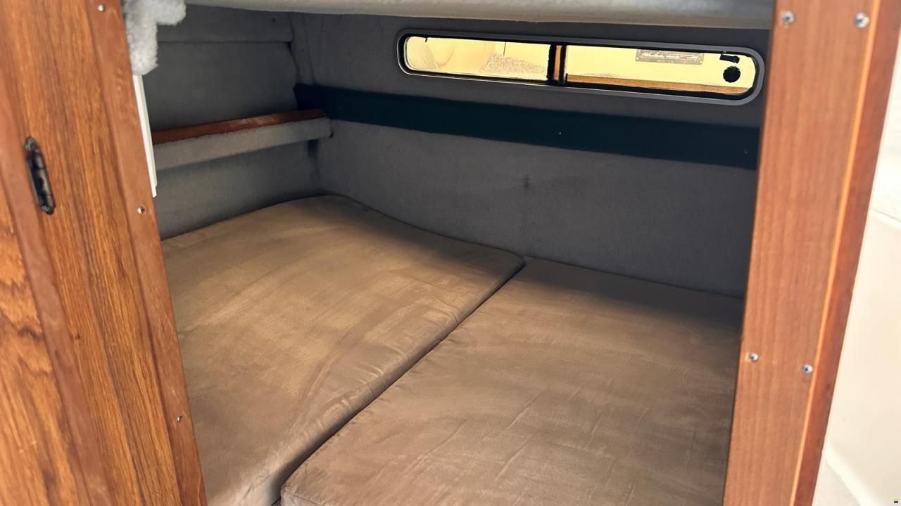 Sea Ray Seville 230
