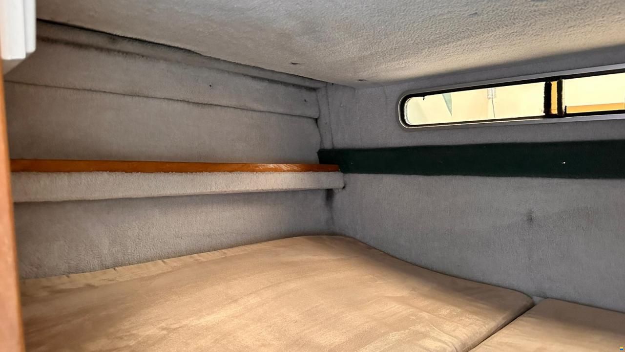 Sea Ray Seville 230