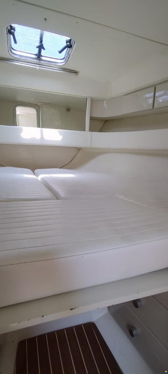 Fiart 30