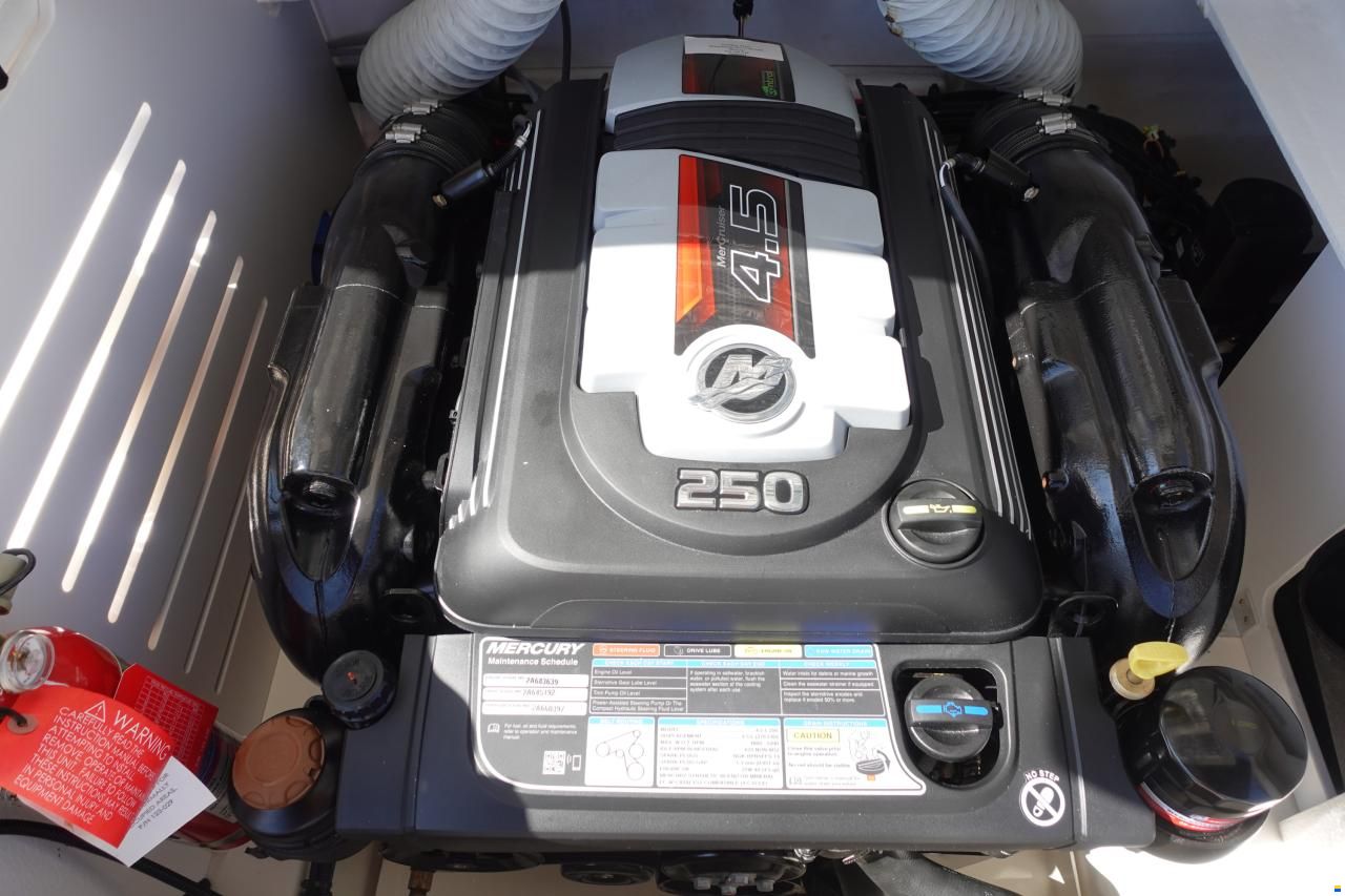 Sea Ray SPXE 210 & Trailer (1. Hand)