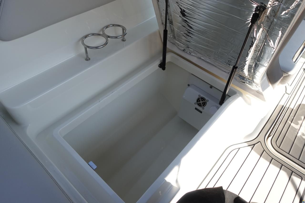 Sea Ray SPXE 210 & Trailer (1. Hand)