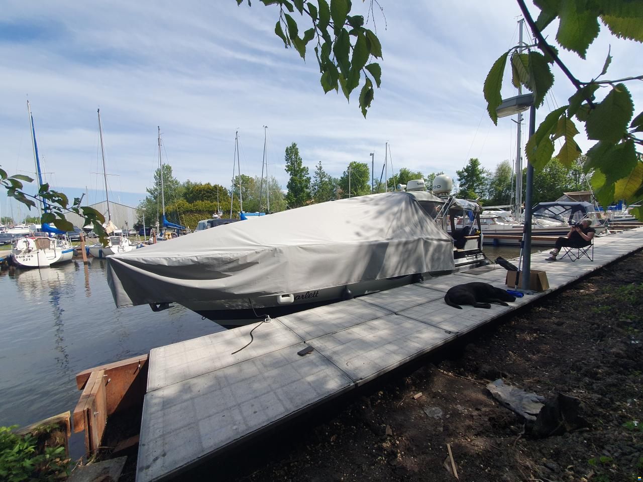 Regal Ambassador 255XL