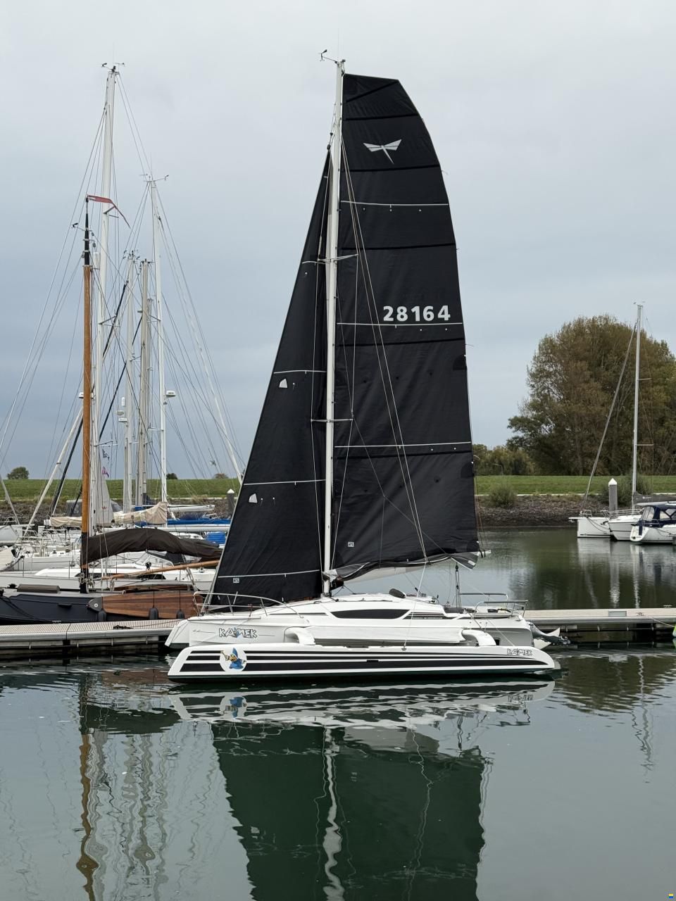 Dragonfly 28 Performance
