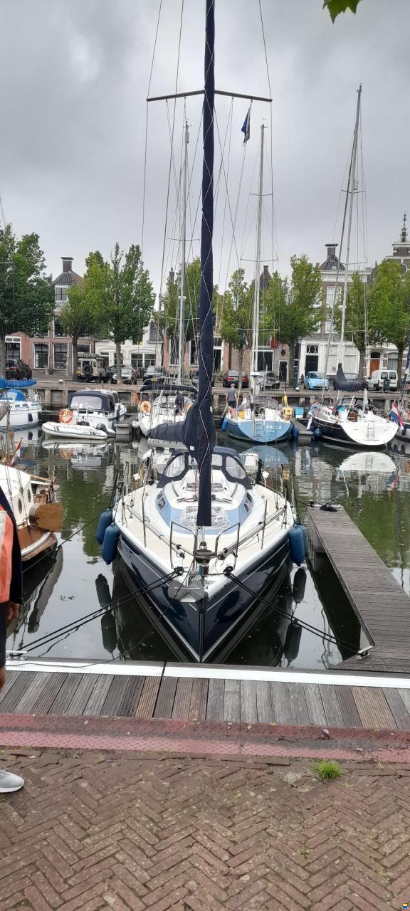 Dehler 34/optima