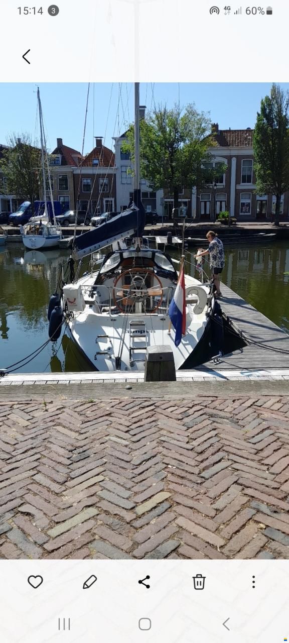 Dehler 34/optima