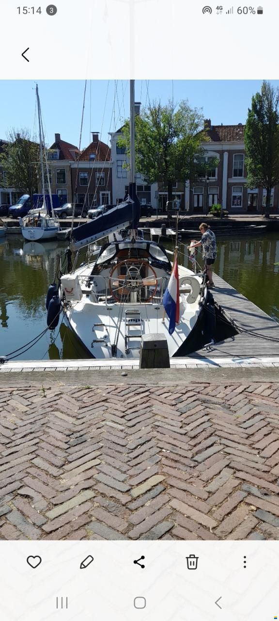 Dehler 34/optima