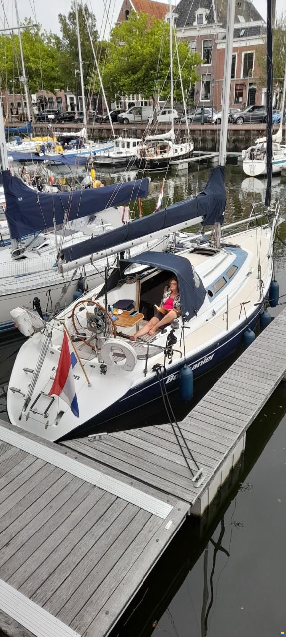 Dehler 34/optima