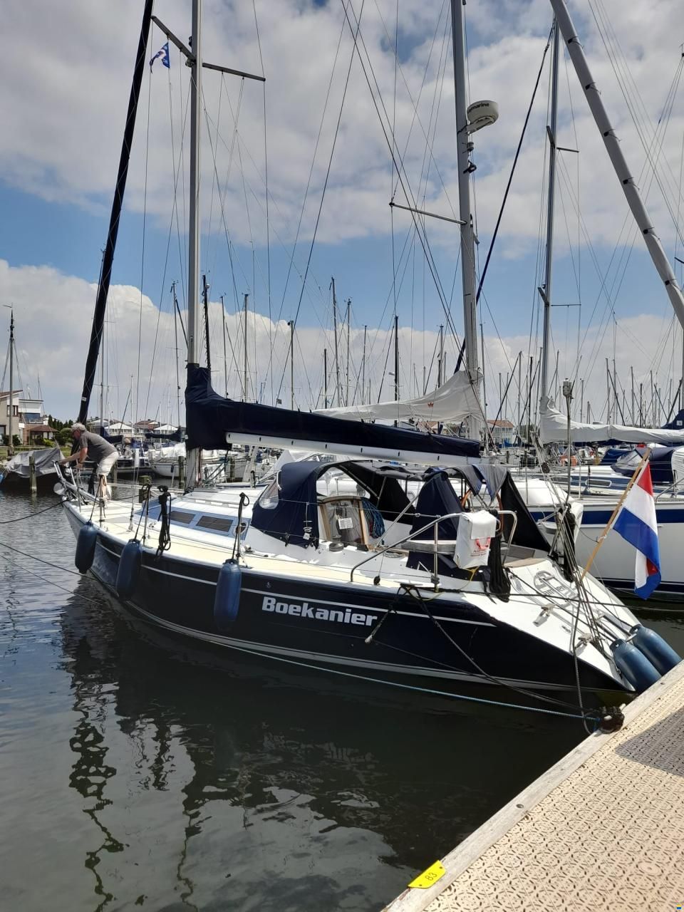 Dehler 34/optima