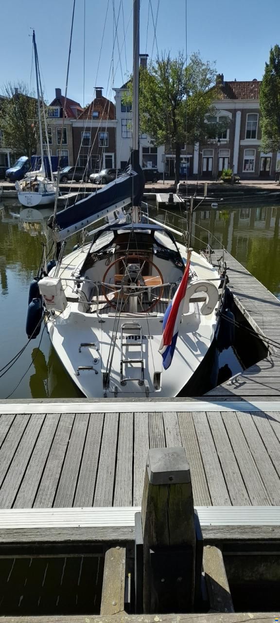 Dehler 34/optima