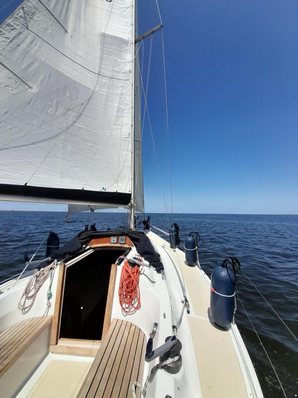 Dehler 34/optima