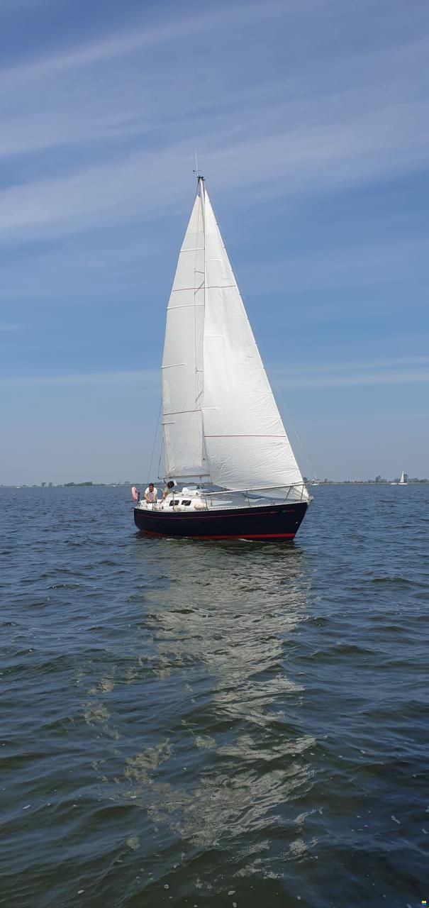 Britton Chance 29