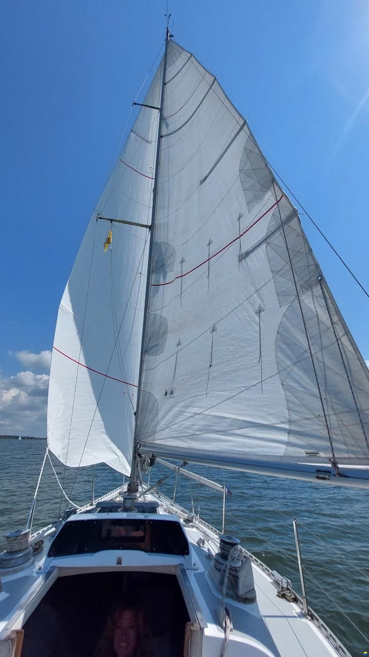 Britton Chance 29