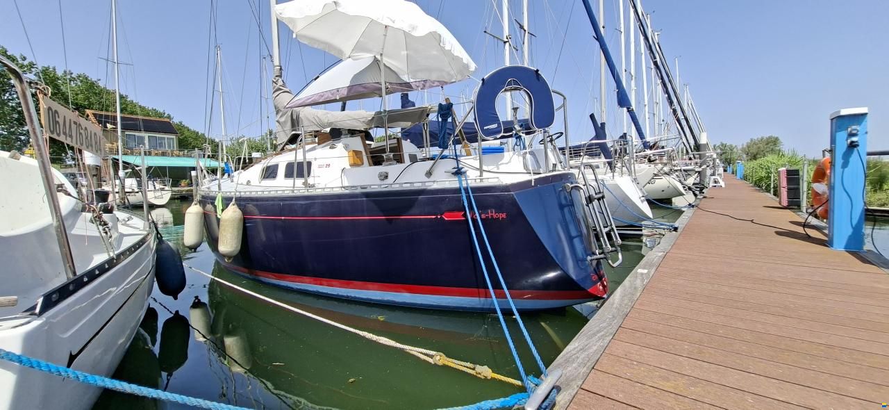Britton Chance 29