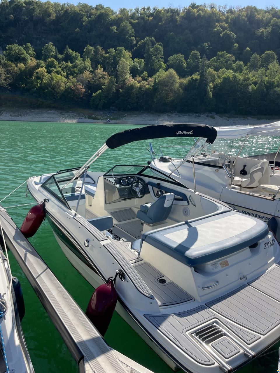 Sea Ray 190 spx