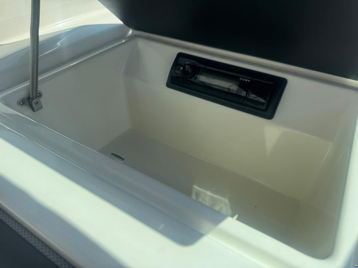 Sea Ray 190 SPX Bowrider