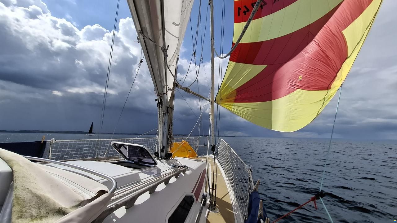 Dehler 29