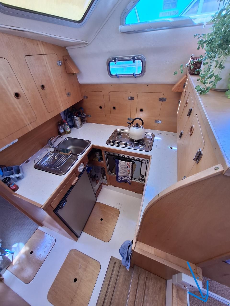 Charter 31