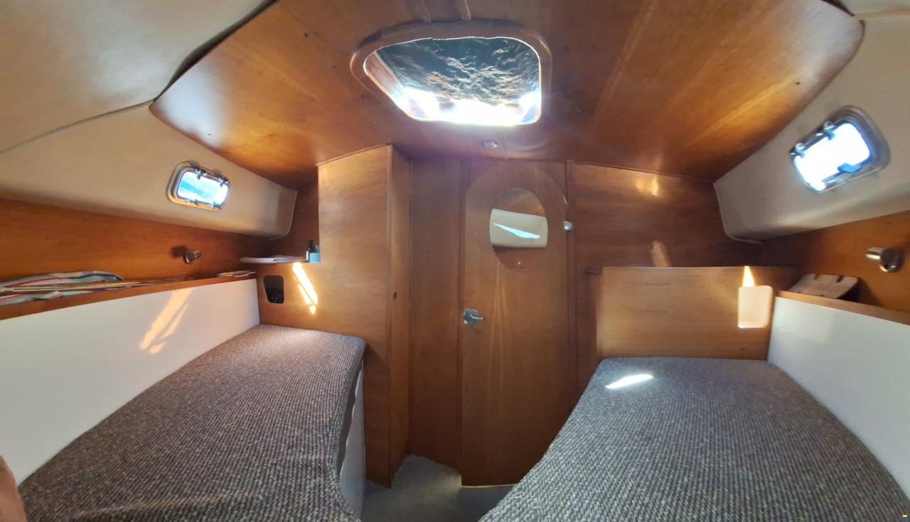Charter 31